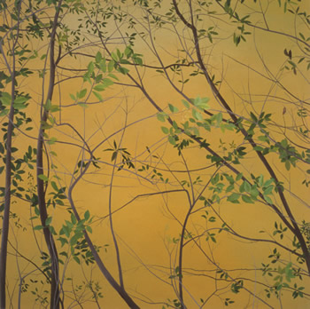 Through Branches 2004