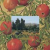 Pomegranates