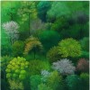 Spring Forest