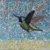 Humming Bird
