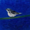 Bird on Blue